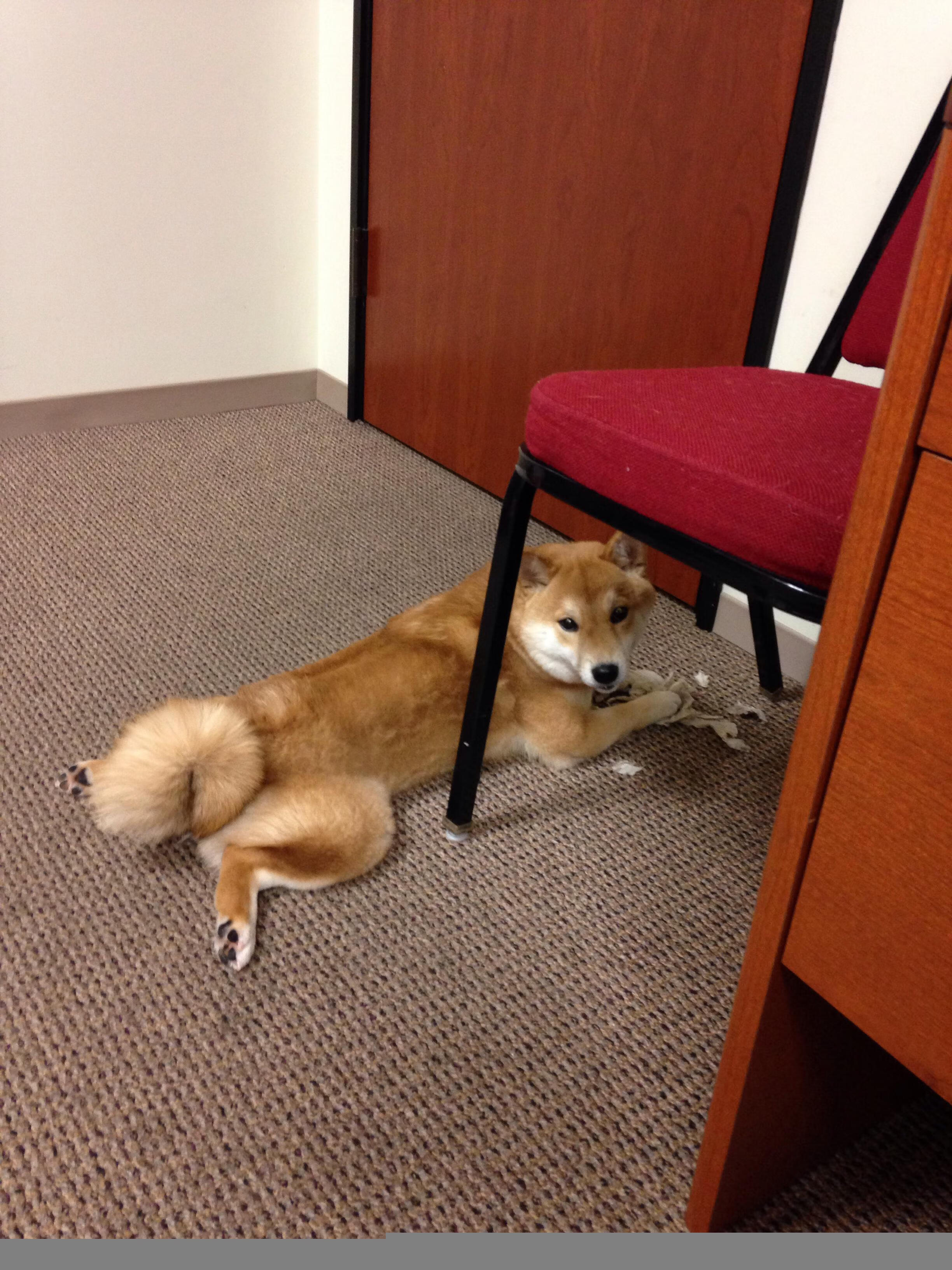 _运动员抗压训练：突破心理桎梏的秘密武器_，运动员如何缓解压力