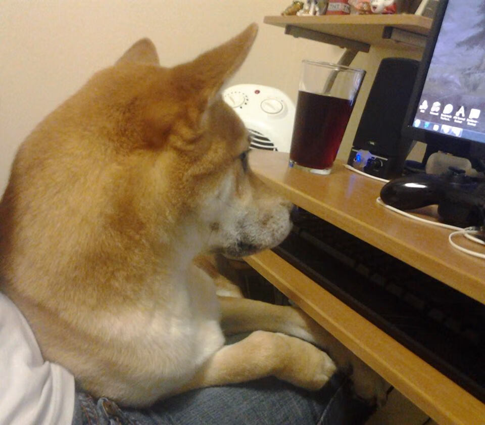 九游app官网下载-今年季后赛最激烈的四场比赛，你看过了吗？，今年季后赛谁冠军